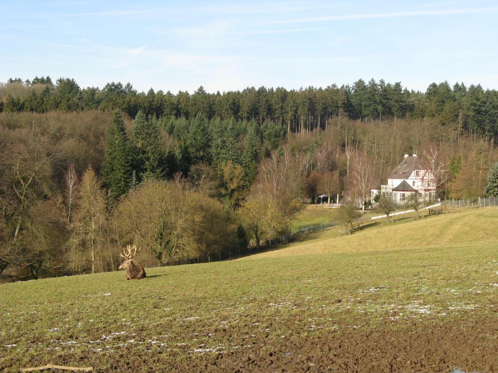 Waldhotel Forsthaus Remstecken Koblenz  Kültér fotó